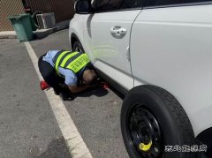 ：Ｖ捶ù蠖：跨区域联动 共绘交通服务新画卷