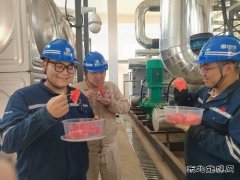 大唐葫芦岛热力公司：开出高温炙烤应对“凉”方