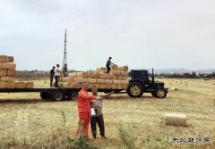 新疆油田油气储运公司：麦收正当时 伴农护管忙