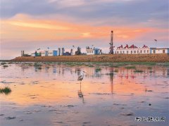 辽河油田：鹭栖 “金海”