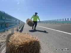 哈巴河执法大队：货物装载切不能“草草了事”