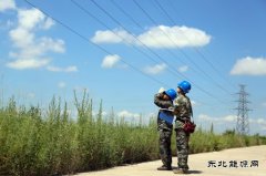 佳木斯供电公司：开展高温特巡 保障电网安全