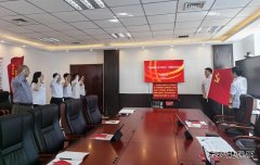 国网阿鲁科尔沁旗供电公司：开展主题党日活动