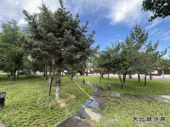 张家峁矿业公司：三措并举让绿韵矿山深“植”人心