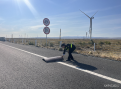 哈巴河执法大队：精细化巡查筑牢辖区公路安全防线