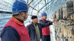 国网牡丹江东宁市供电：护航秋收保丰产 暖心服务助“耳”香