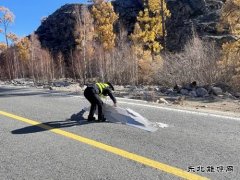 哈巴河执法大队：清理路面杂物，保障公路畅通