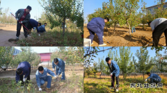 国网宁城县供电公司：“青年林”开讲，助力新员工启航