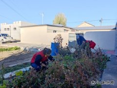 国网巴林右旗供电公司：庭院扫净映初心 舞姿翩跹暖桑榆